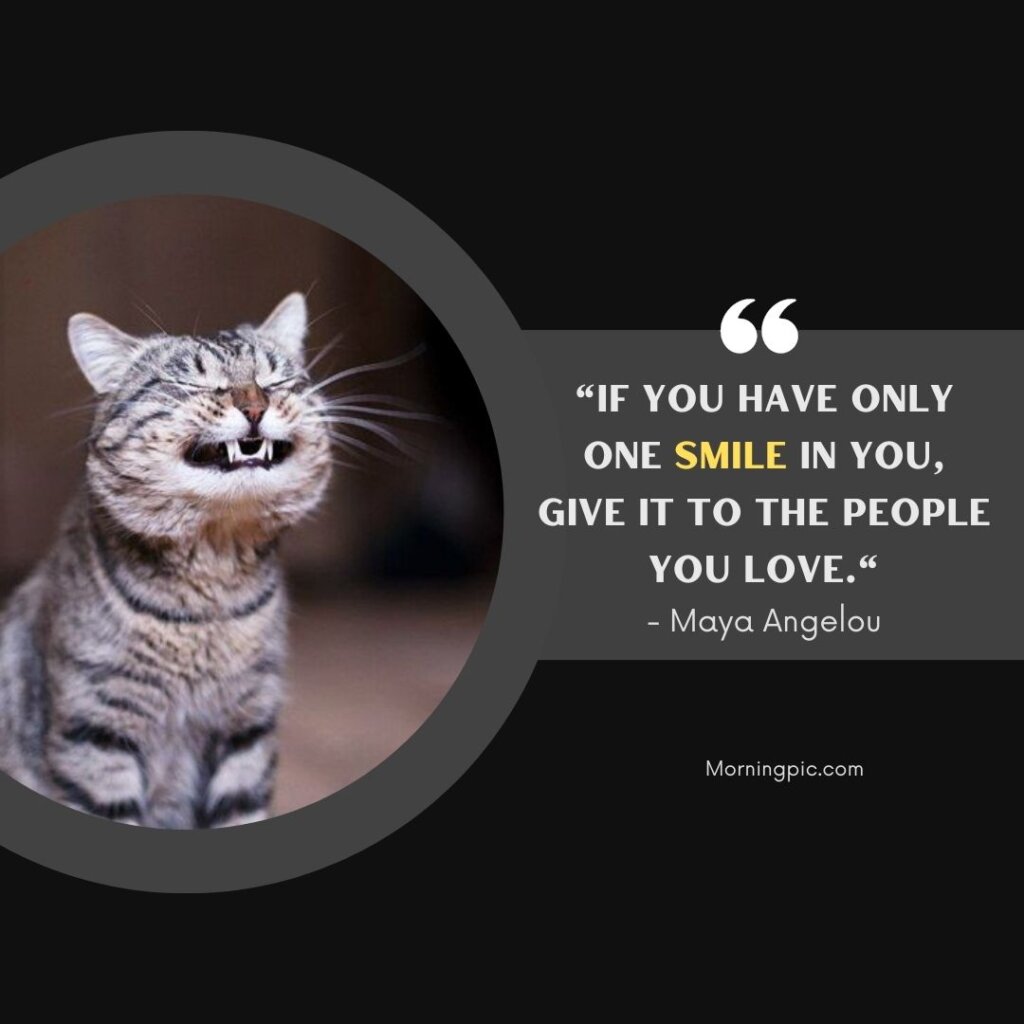 Maya Angelou quotes