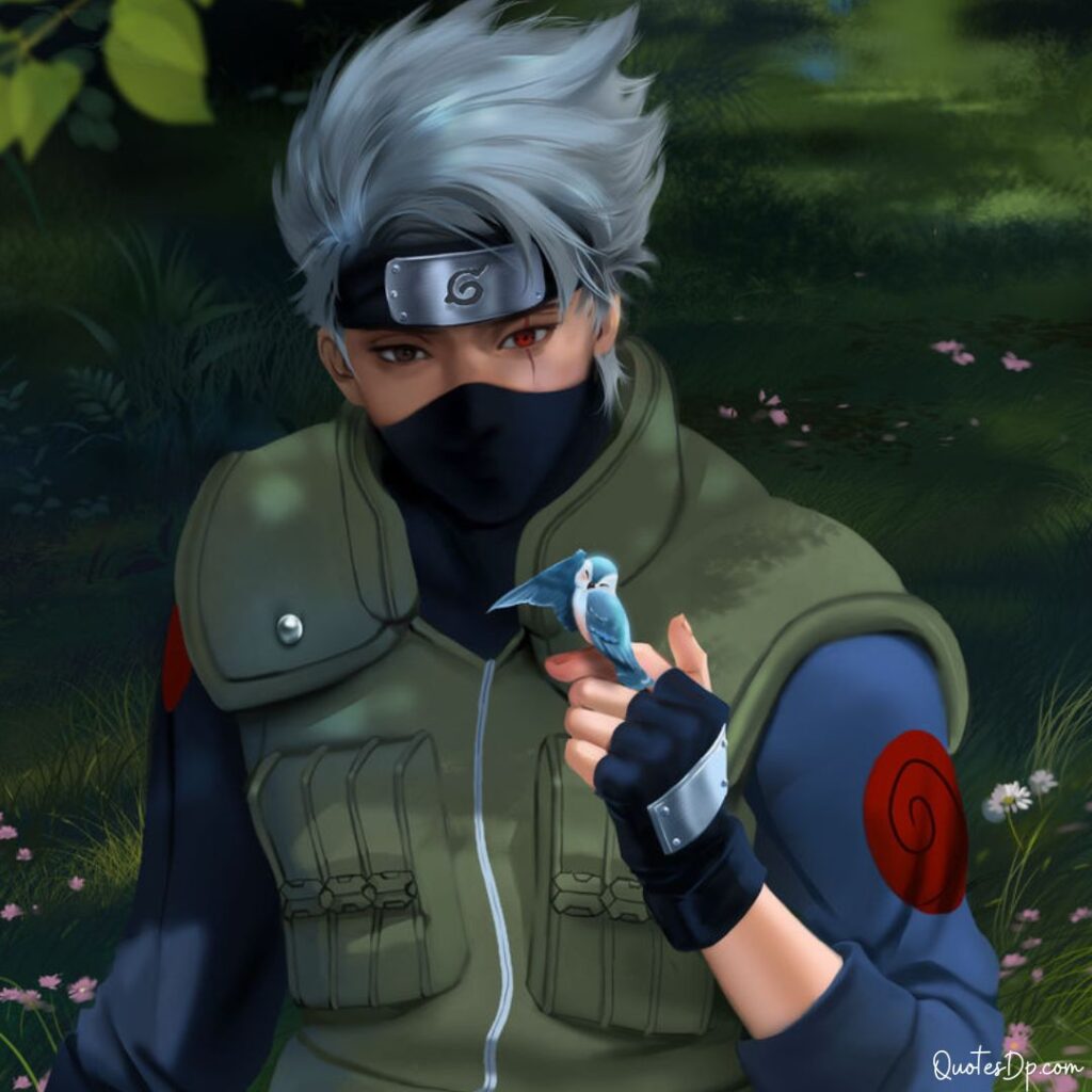 kakashi dp