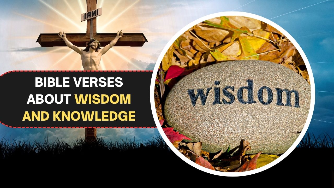 127 Bible Verses about Wisdom and Knowledge for Spiritual Growth