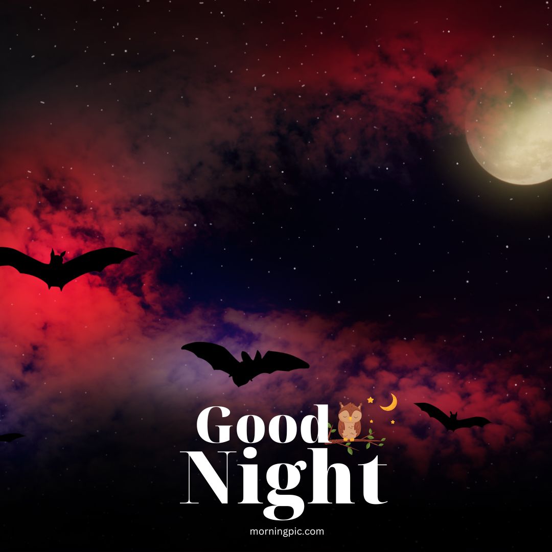 sweet good night images