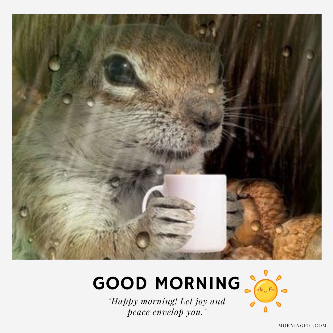 short good morning images with positive words cute squirrel