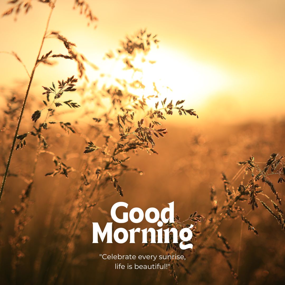 short good morning images with positive words and quotes in english