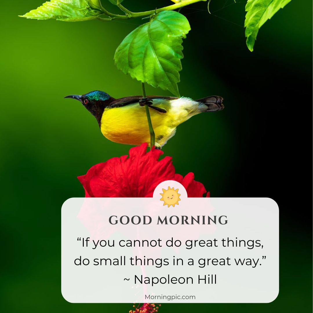 Beautiful bird good morning images with positive words 2024