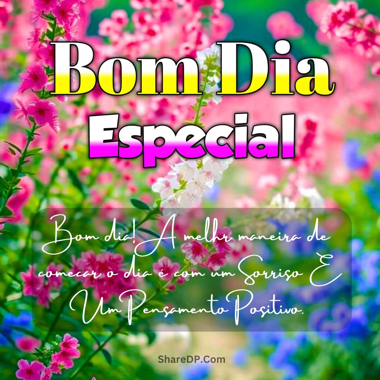 2062+ Bom Dia Especial Abençoada, Mensagens, Frases, Amor Imagens Grátis