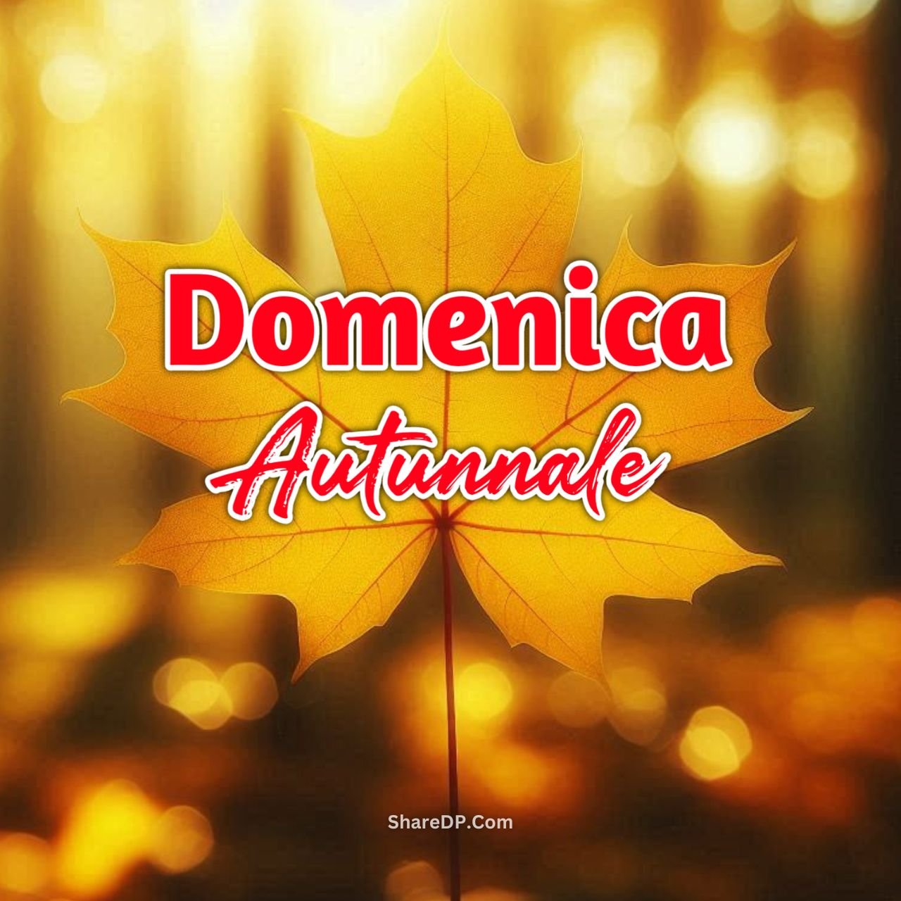 [200+] Buona Domenica Autunnale Immagini, GIF, Frasi Nuove Gratis 2024