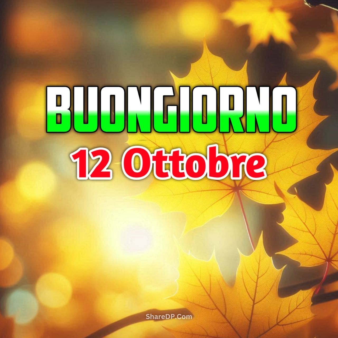 [100+] Buongiorno 12 Ottobre Immagini, GIF, Frasi Nuove Gratis {Buon Sabato 2024}