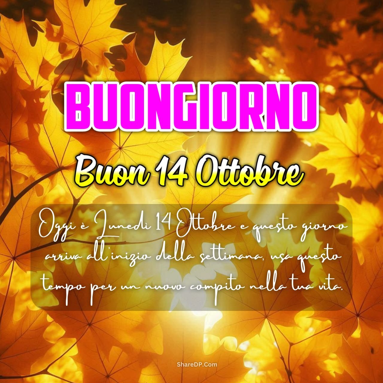 [999+] Buongiorno 14 Ottobre Immagini, Frasi, GIF, Nuove Gratis {Buon Lunedì 2024}