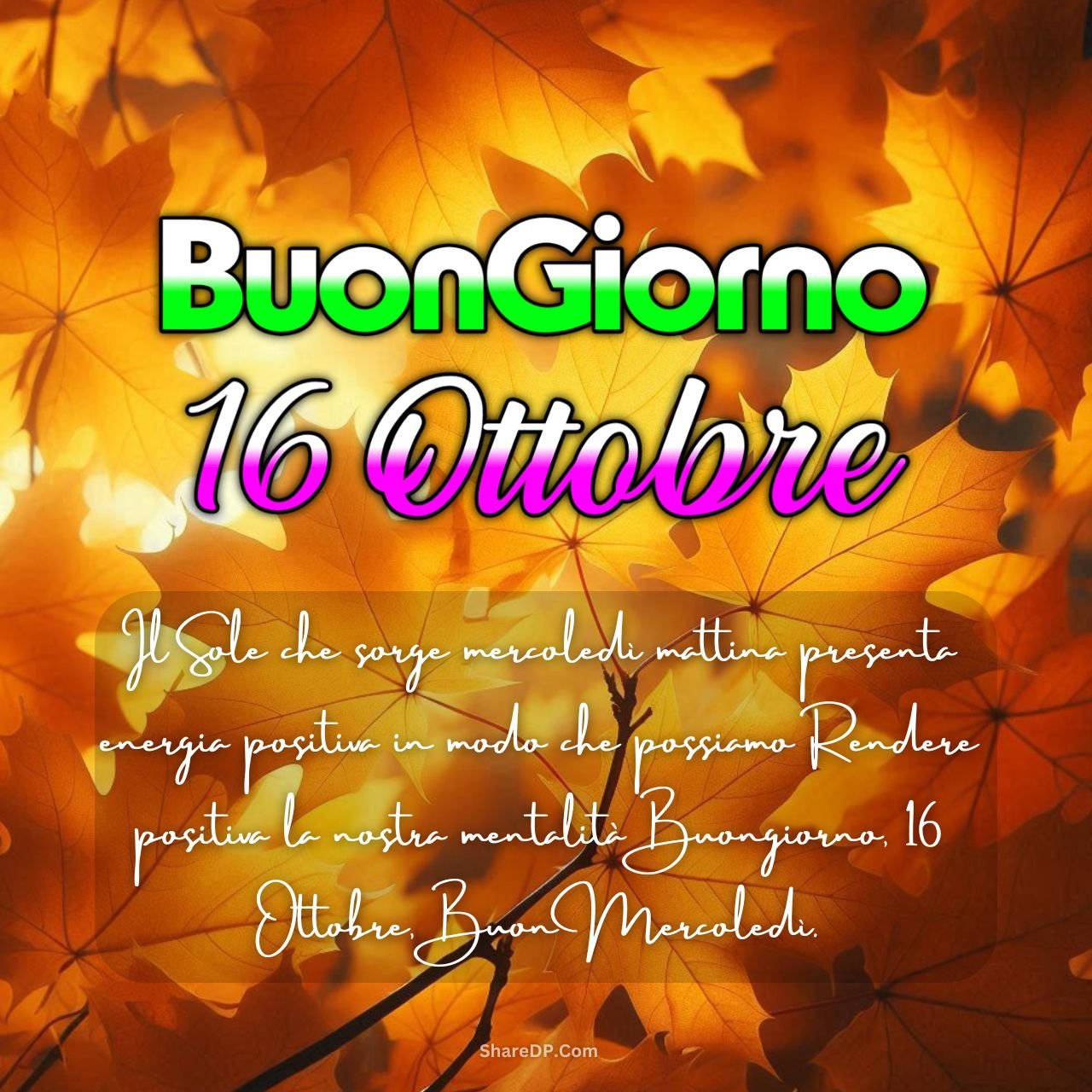 [100+] Buongiorno 16 Ottobre Immagini e GIF Nuove Gratis {Buon Mercoledì 2024}