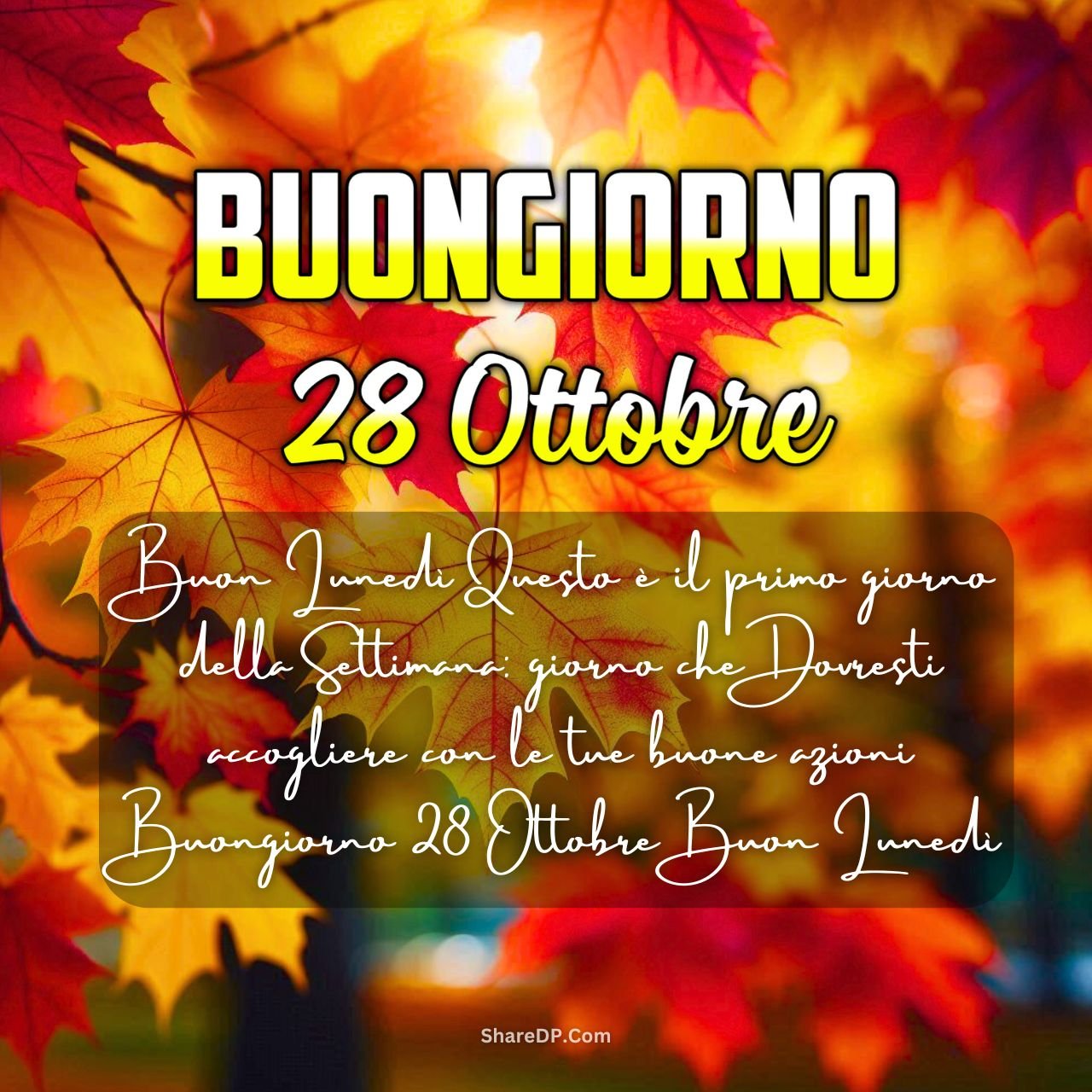 [99+] Buongiorno 28 Ottobre Immagini, GIF, Frasi Nuove Gratis {Buon Lunedì 2024}