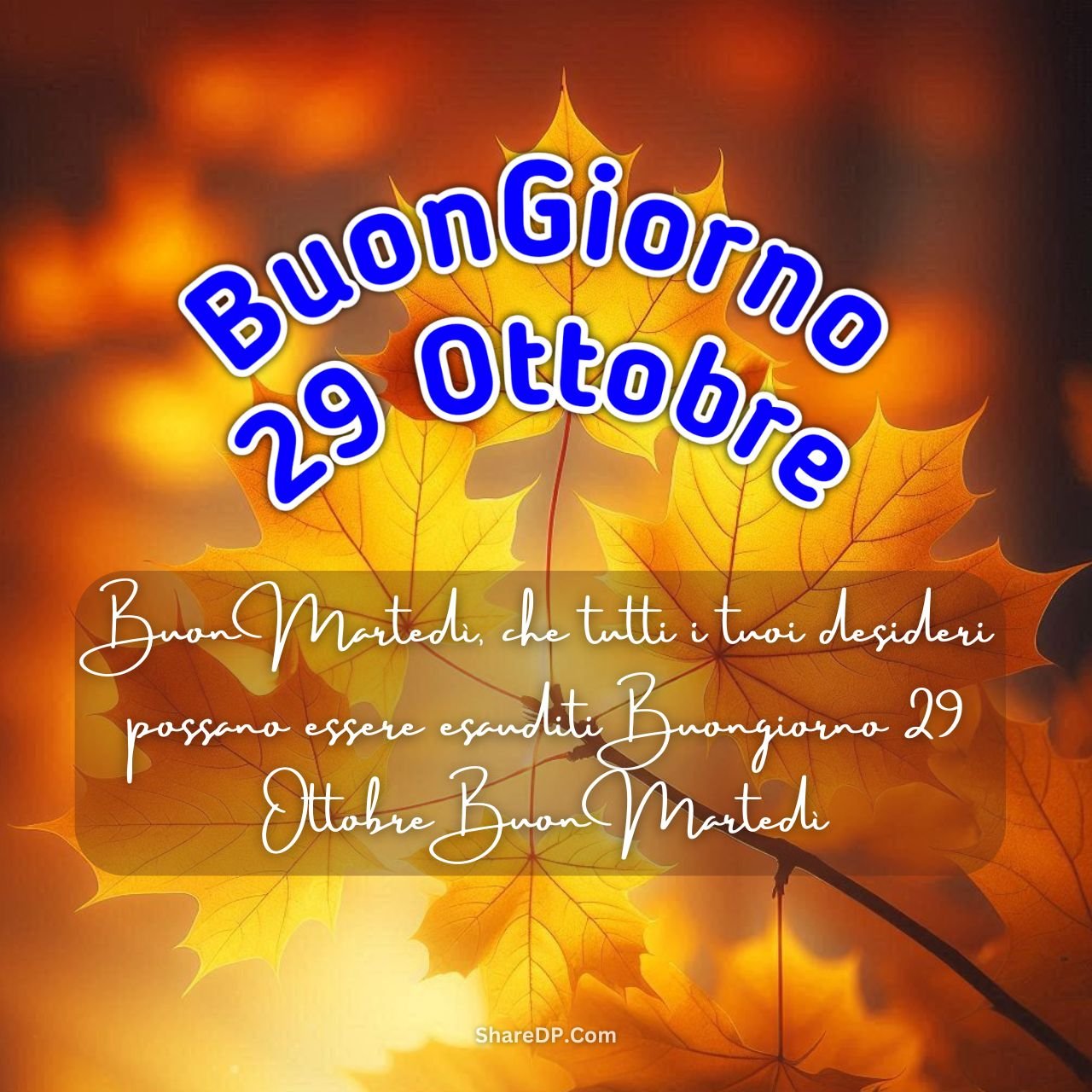 [159+] Buongiorno 29 Ottobre Immagini, Frasi, GIF Nuove Gratis {Buon Martedì 2024}