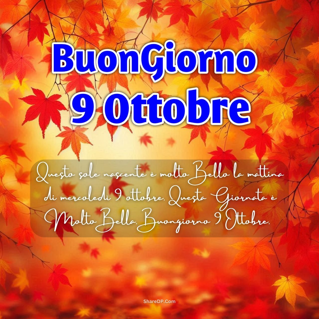 [100+] Buongiorno 9 Ottobre Immagini Nuove Gratis {Buon Mercoledì 2024}