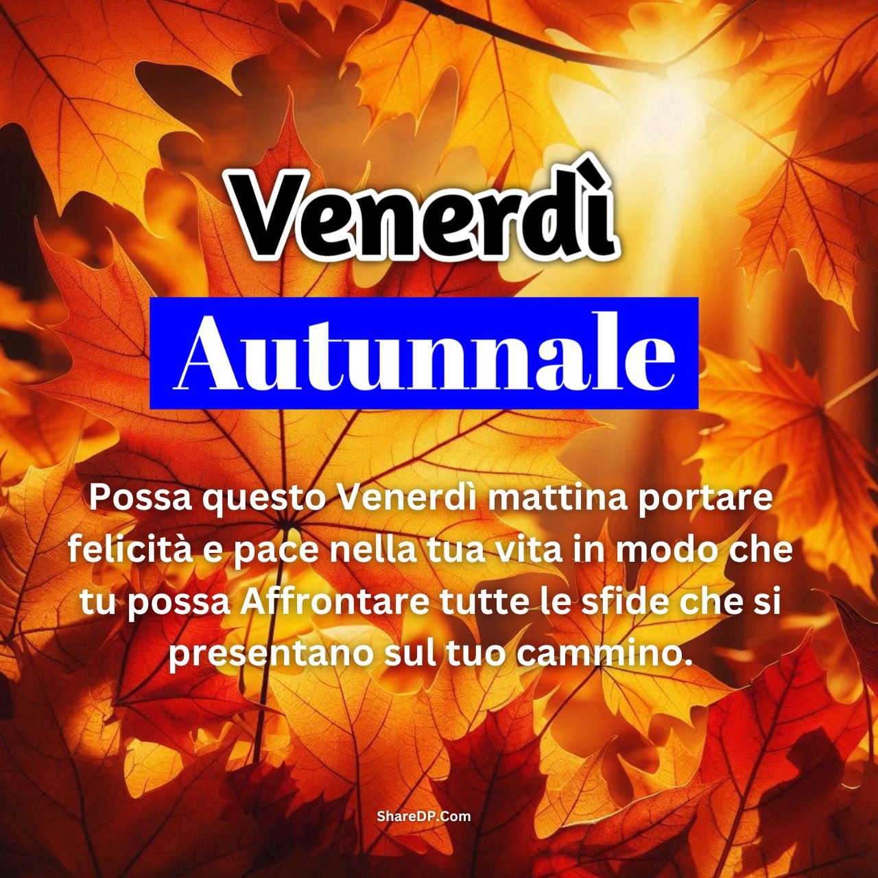 [199+] Buongiorno Buon Venerdì Autunnale Immagini Nuove Gratis 2024