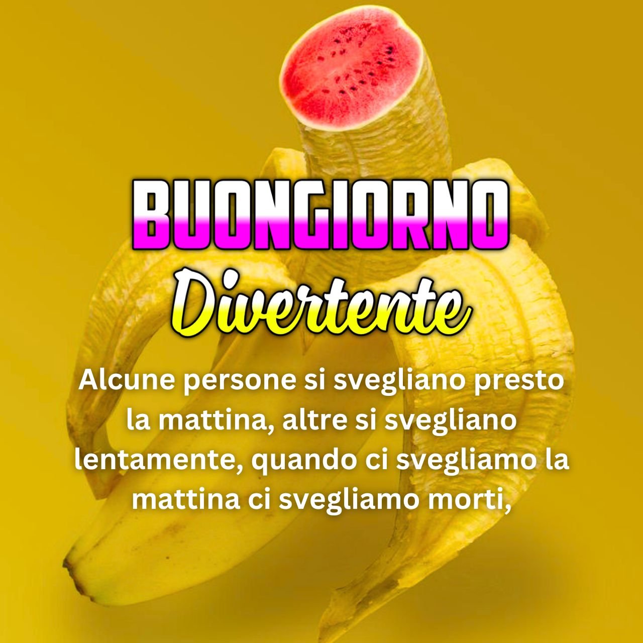 [3500+] Buongiorno Divertente Immagini, GIF, Foto Nuove Gratis 2024