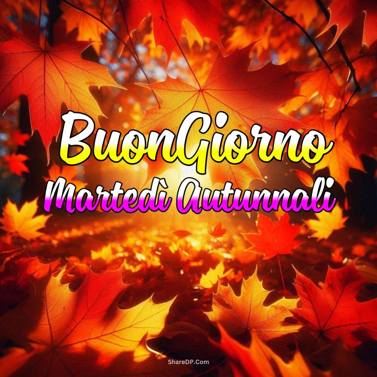 [79+] Buongiorno e Buon Martedì Autunnale Immagini Nuove Gratis 2024