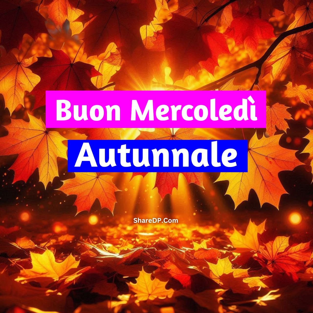 [65+] Buongiorno e Buon Mercoledì Autunnale Immagini, GIF Nuove Gratis 2024