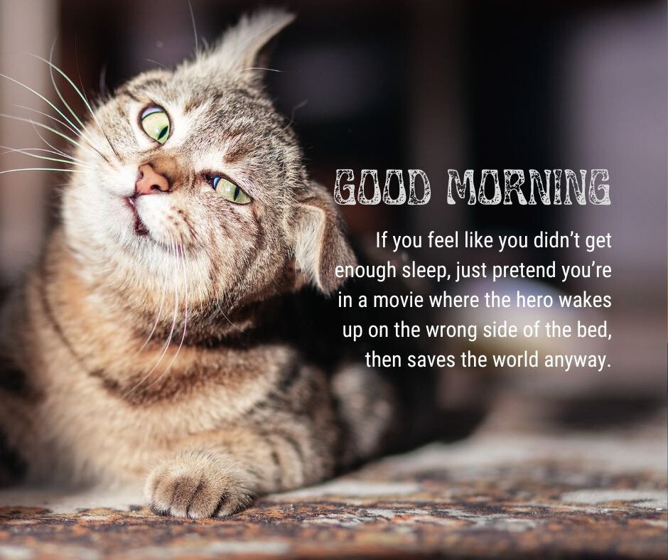 Funny Good Morning Greetings with a charming tabby cat gazing upwards, humorously captioned about pretending to be a hero who wakes up on the wrong side of the bed but saves the world anyway.