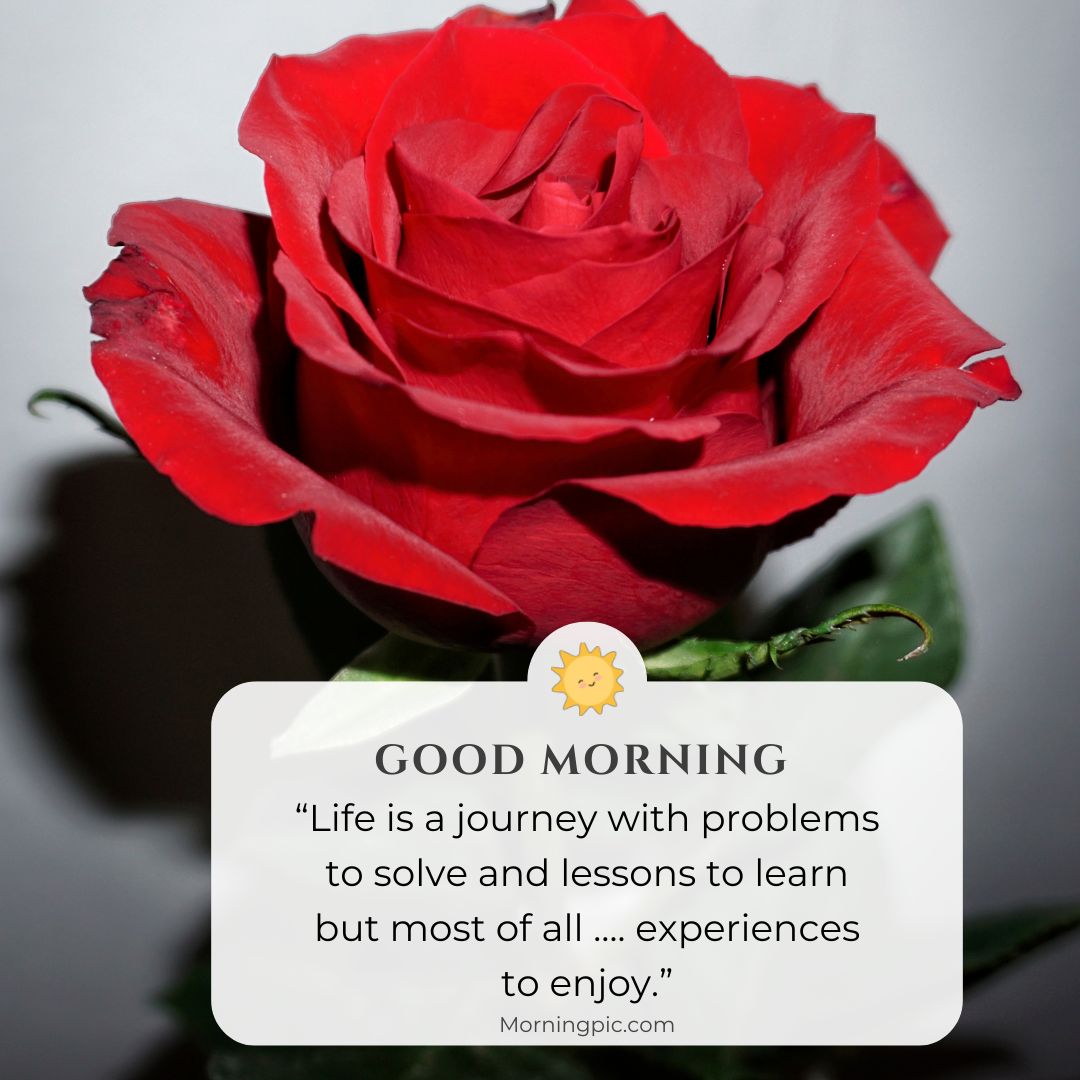 good morning images with positive words for friends 2024