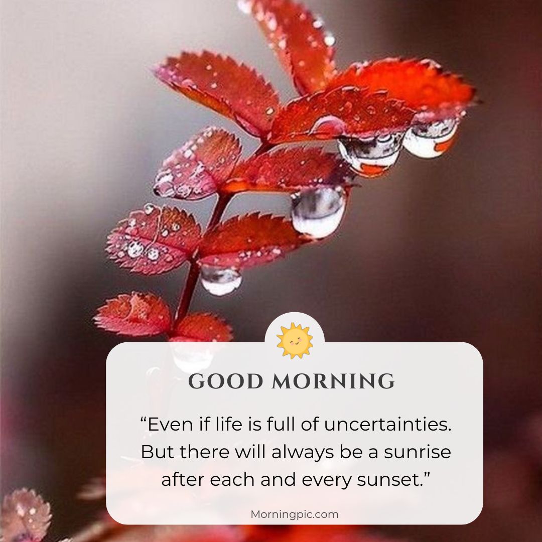 leaf in rain good morning images with positive words for friends