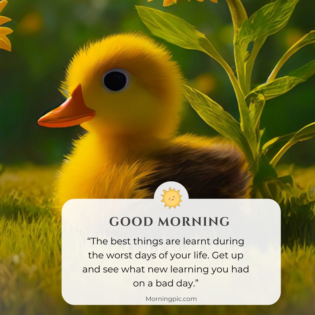 Duckling good morning images with positive words