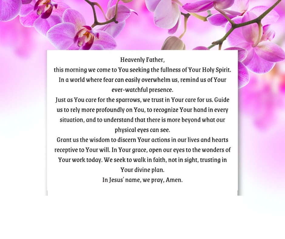 Good Morning Prayer on a serene background of vibrant pink orchids, featuring a heartfelt prayer for wisdom, guidance, and faith in divine plans.