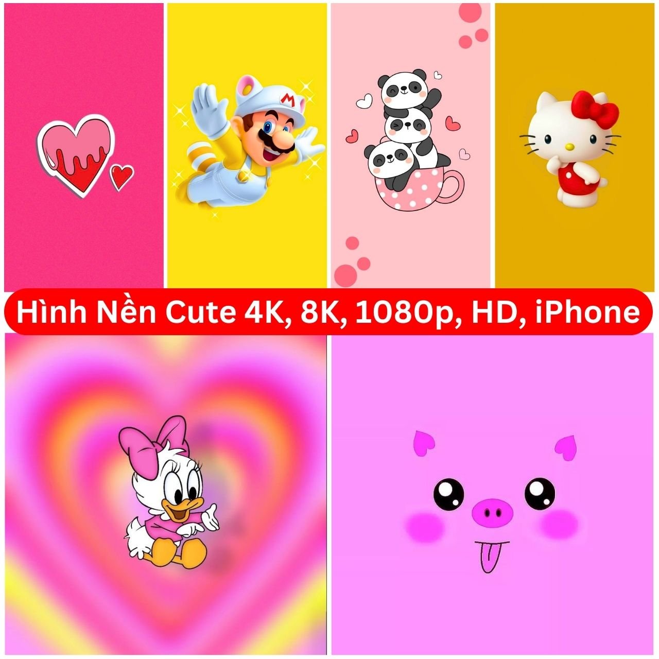 [2000+] Hình Nền Cute 4K, 8K, 1080p, HD, iPhone Máy tính để bàn 2024