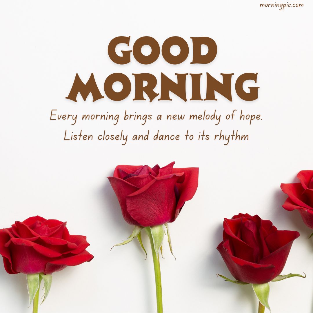 elegant good morning images red roses