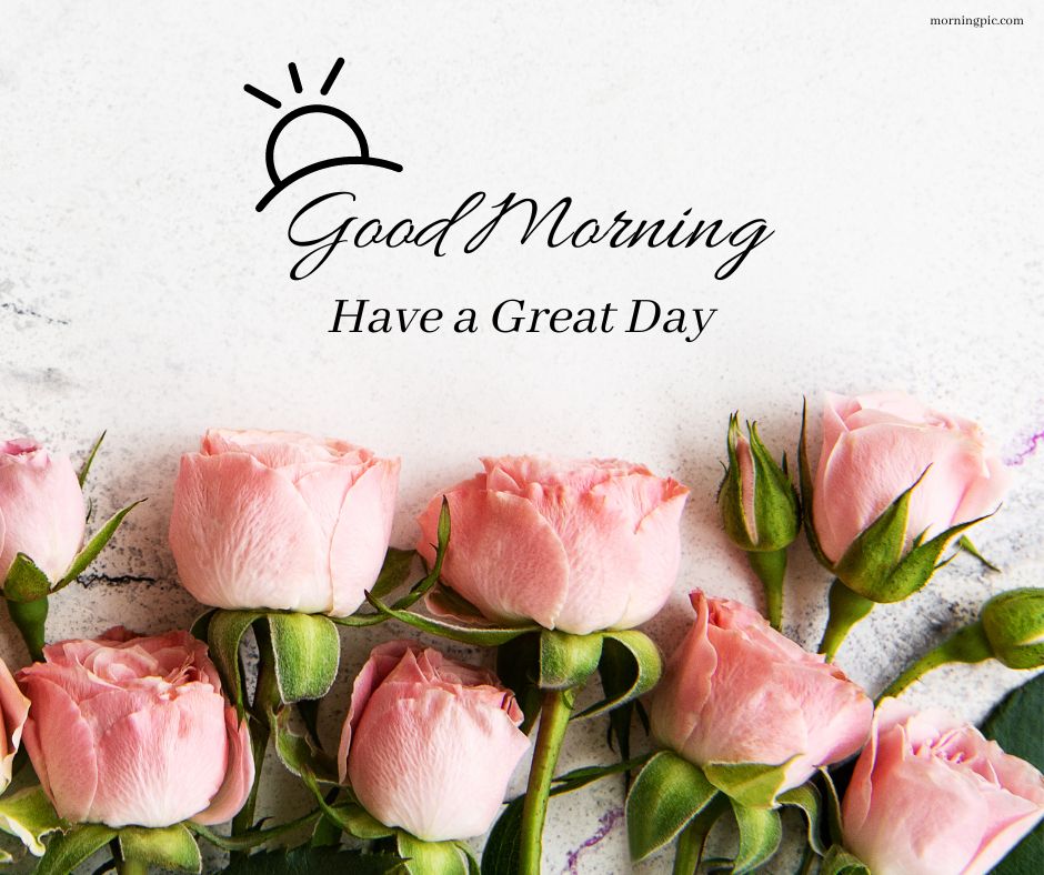 pink roses good morning images download hd