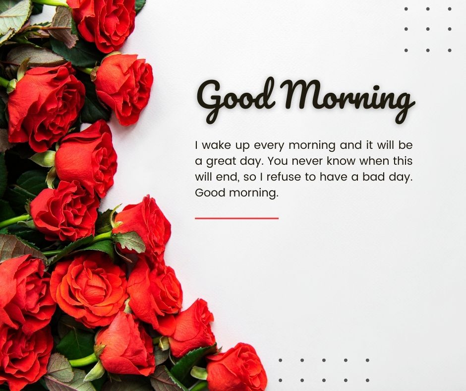 red roses today special good morning images