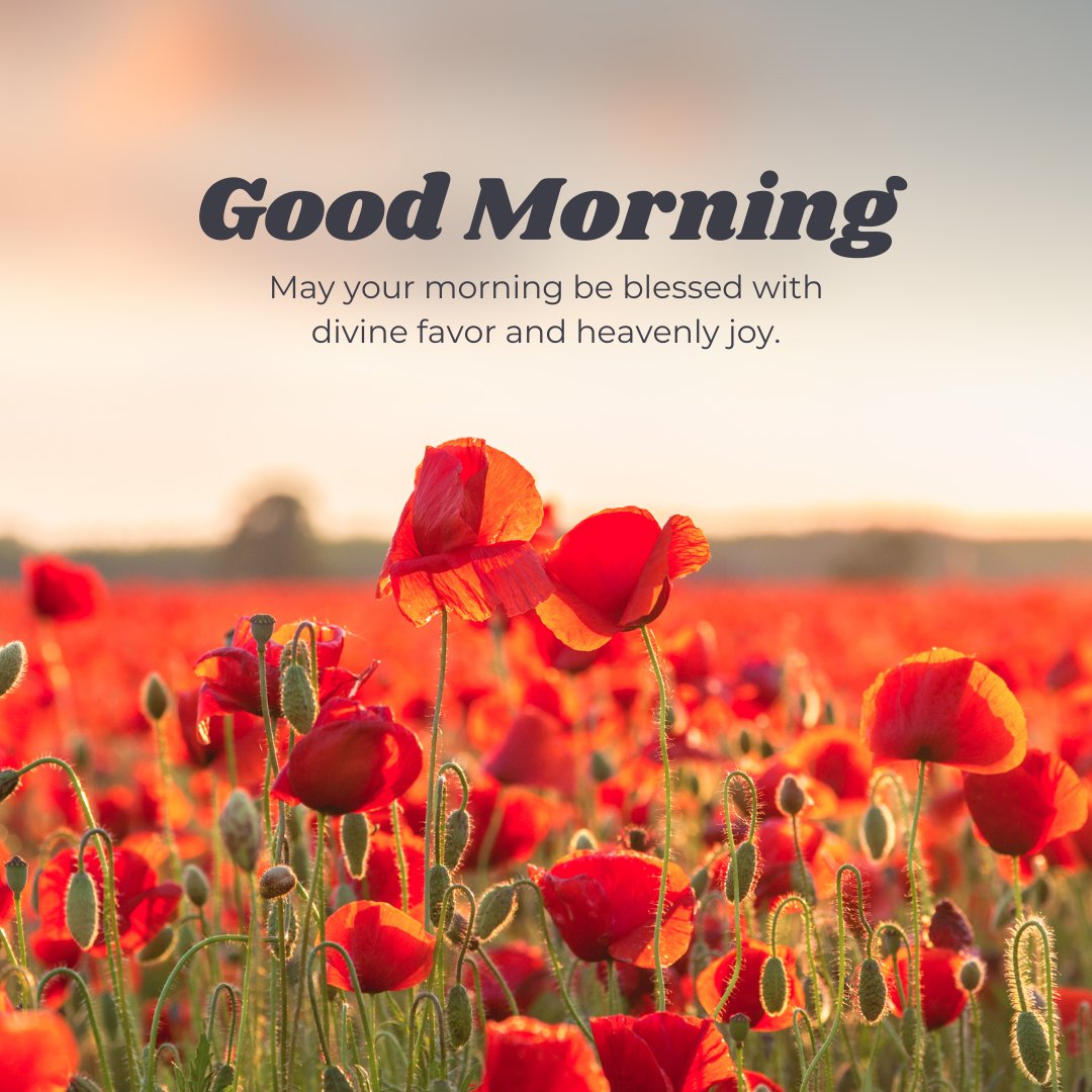 Blessings-filled spiritual good morning messages with a field of red poppies and motivational text: "Good Morning. May your morning be blessed with divine favor and heavenly joy."