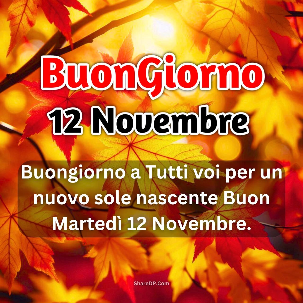 [100+] Buongiorno 12 Novembre Immagini, GIF, Frasi Nuove Gratis {Buon Martedì 2024}