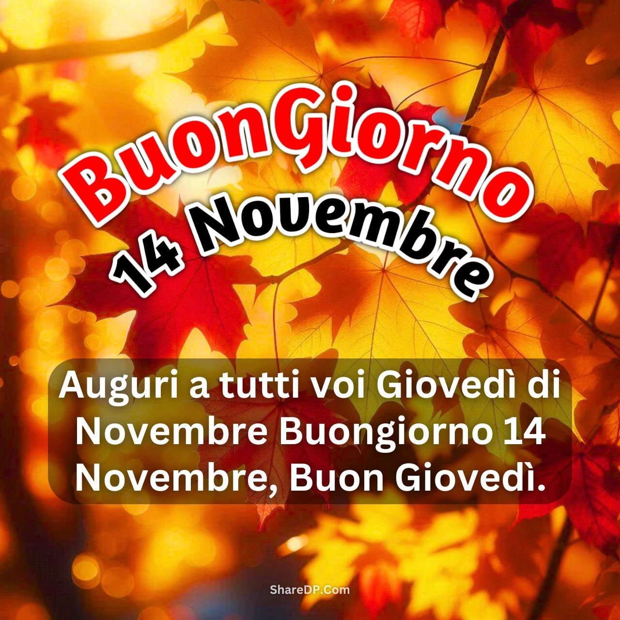 [499+] Buongiorno 14 Novembre Immagini, GIF, Frasi Nuove Gratis {Buon Giovedì 2024}