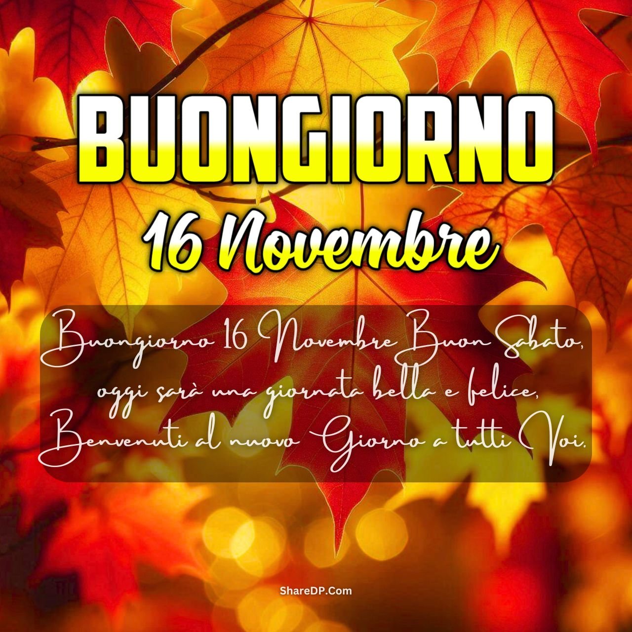 [169+] Buongiorno 16 Novembre Immagini, Frasi, GIF Nuove Gratis {Buon Sabato 2024}