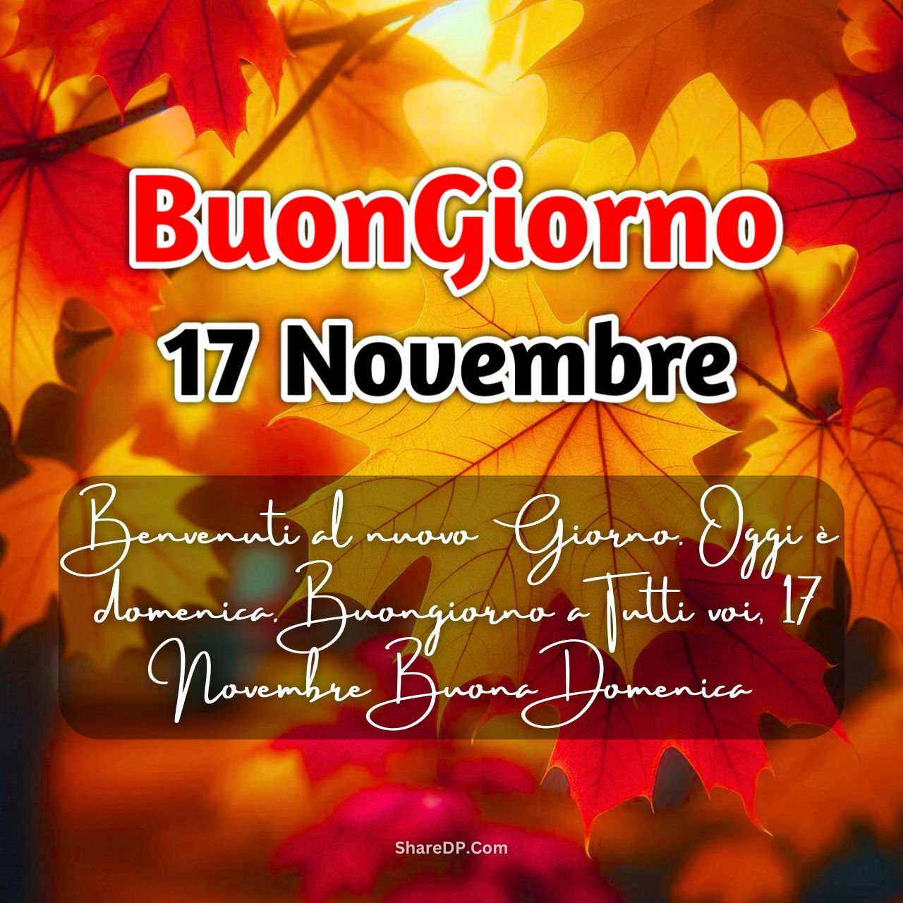 [369+] Buongiorno 17 Novembre Immagini, GIF, Frasi Nuove Gratis {Buona Domenica 2024}