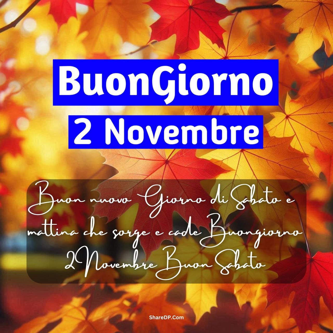 [379+] Buongiorno 2 Novembre Immagini, GIF, Frasi Nuove Gratis {Buon Sabato 2024}