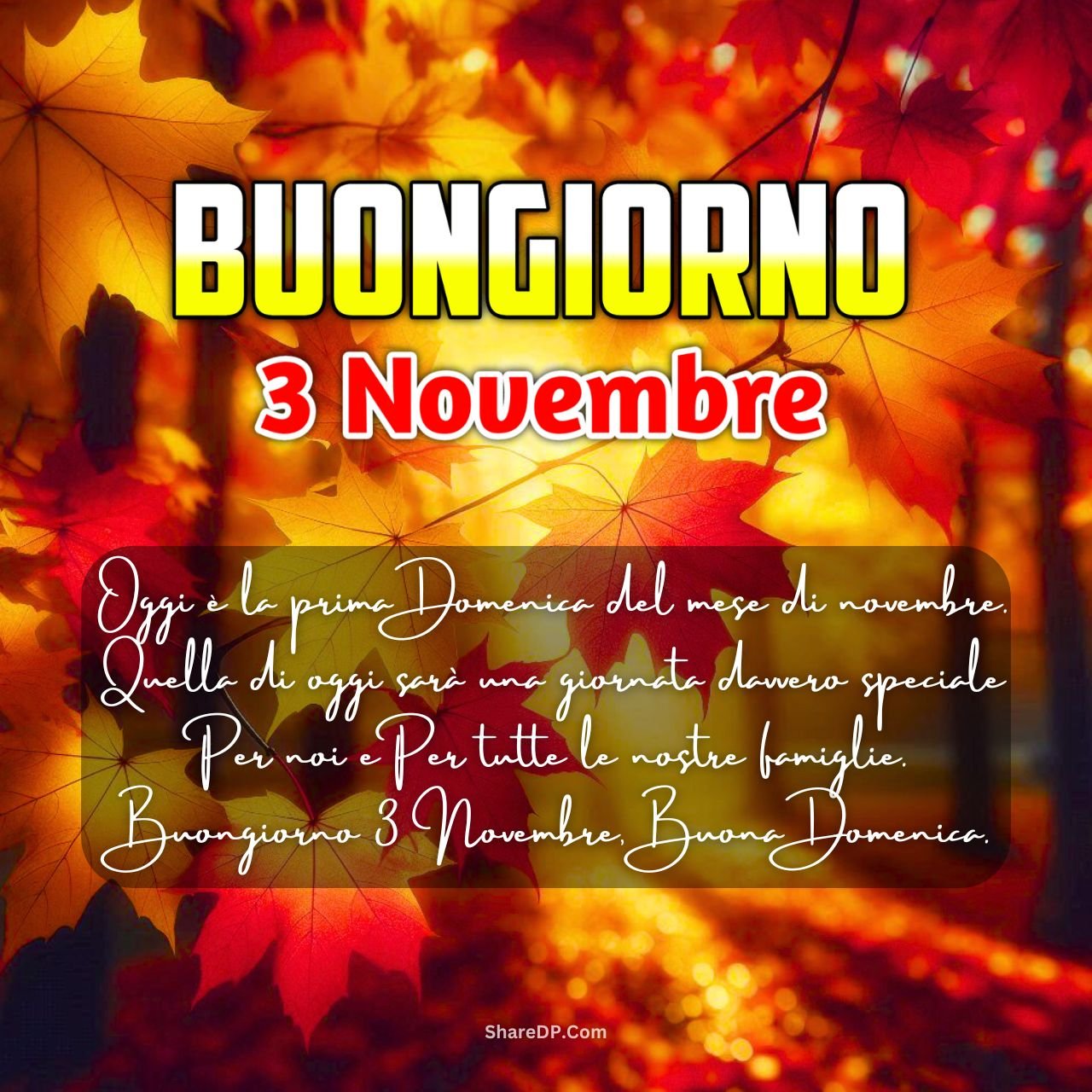 [387+] Buongiorno 3 Novembre Immagini, GIF, Frasi Nuove Gratis {Buona Domenica 2024}