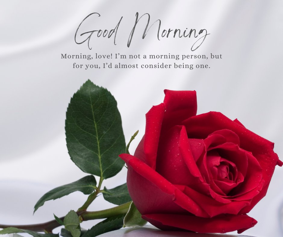 Funny Good Morning Messages for Girlfriend: A vivid red rose with a leafy stem against a white background, accompanied by the playful message 'Good Morning, love! I’m not a morning person, but for you, I’d almost consider being one.'