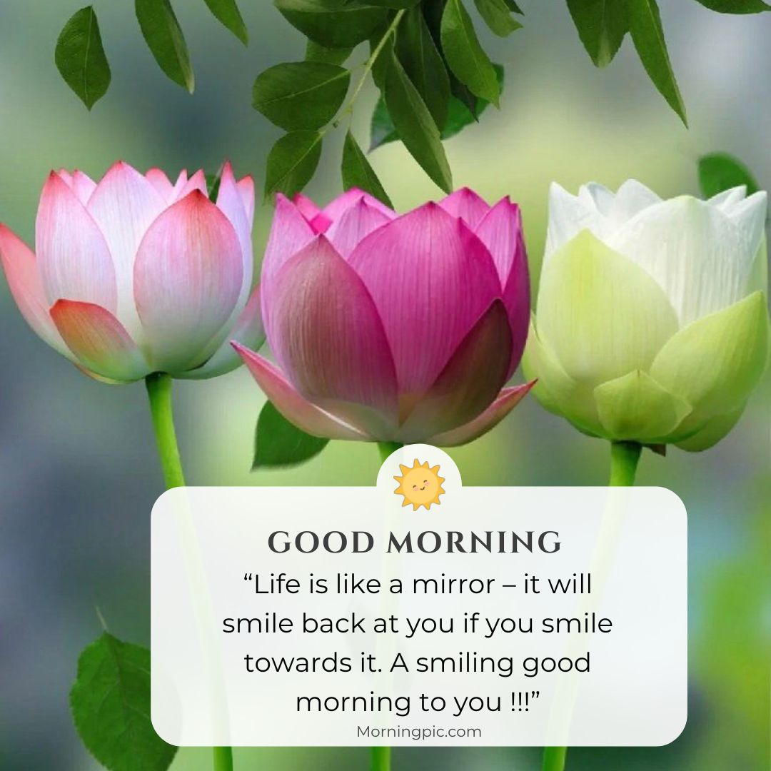 lots good morning images with positive words for friends