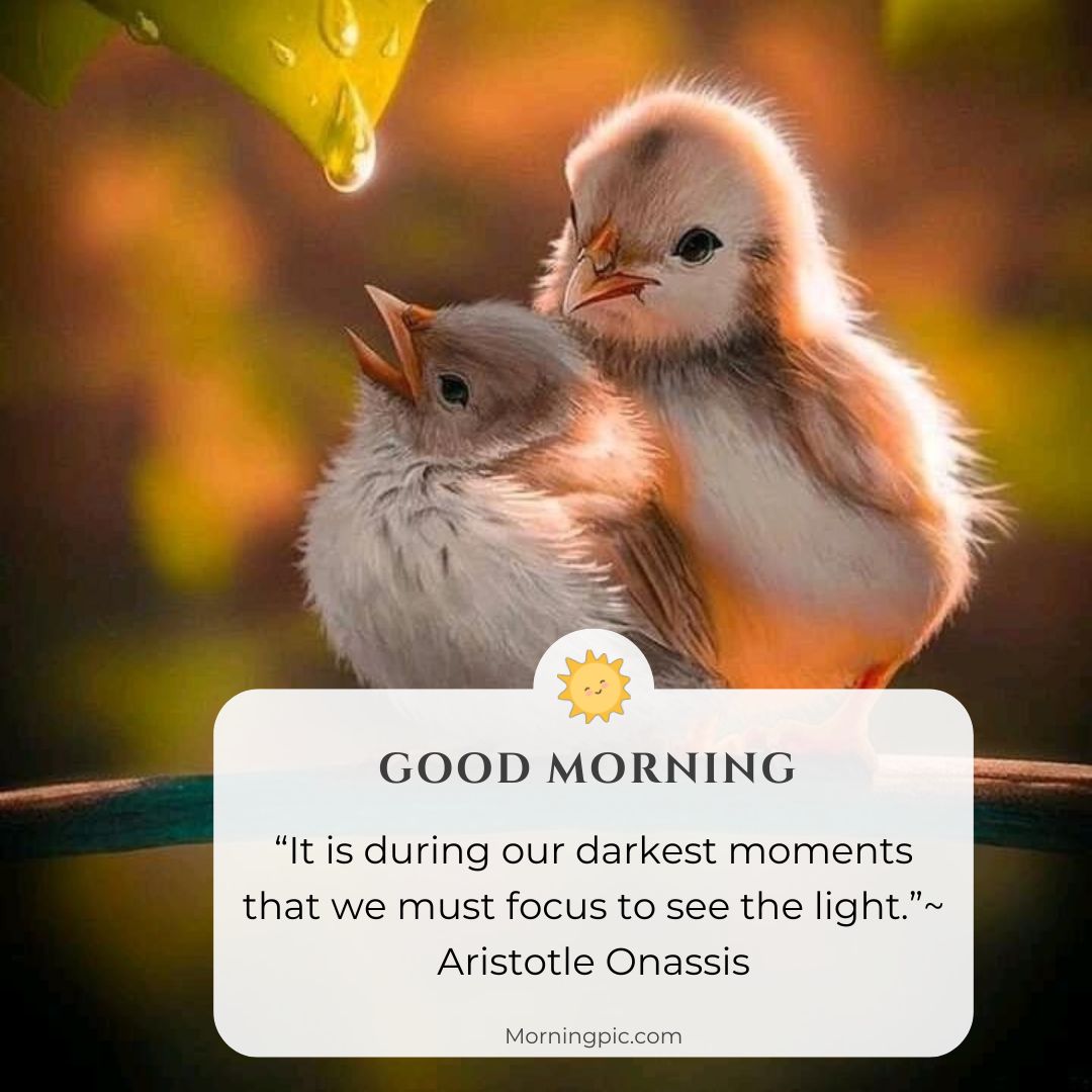 cute birds good morning images with positive words