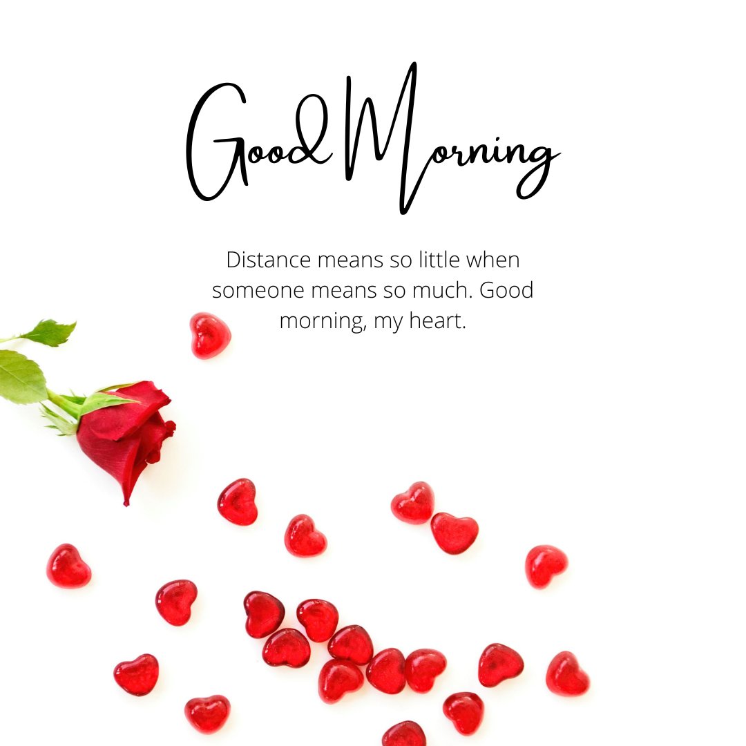 Good Morning Messages for a Long Distance Relationship: An elegant display featuring a single red rose and multiple small red hearts on a white background, with the text 'Good Morning. Distance means so little when someone means so much. Good morning, my heart.'