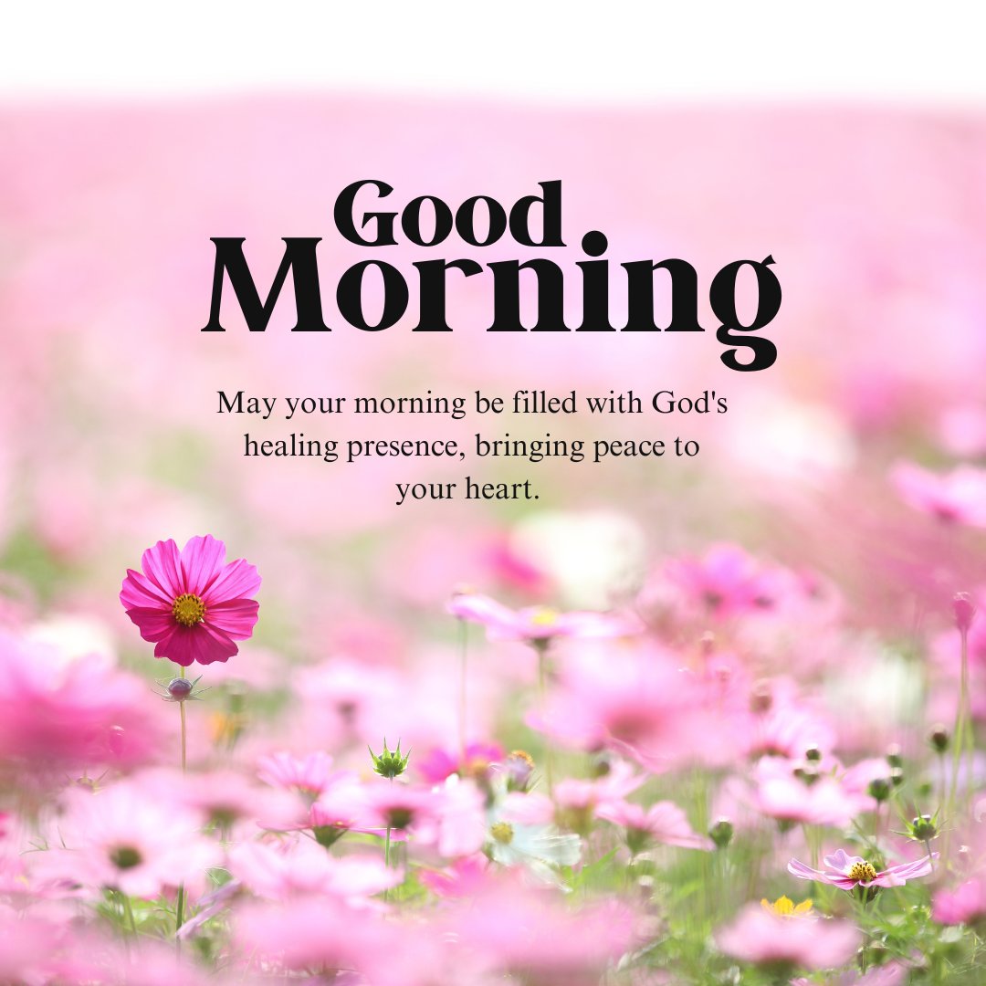 Good Morning Spiritual Messages for Healing with a field of pink flowers and inspirational text: "Good Morning. May your morning be filled with God's healing presence, bringing peace to your heart."