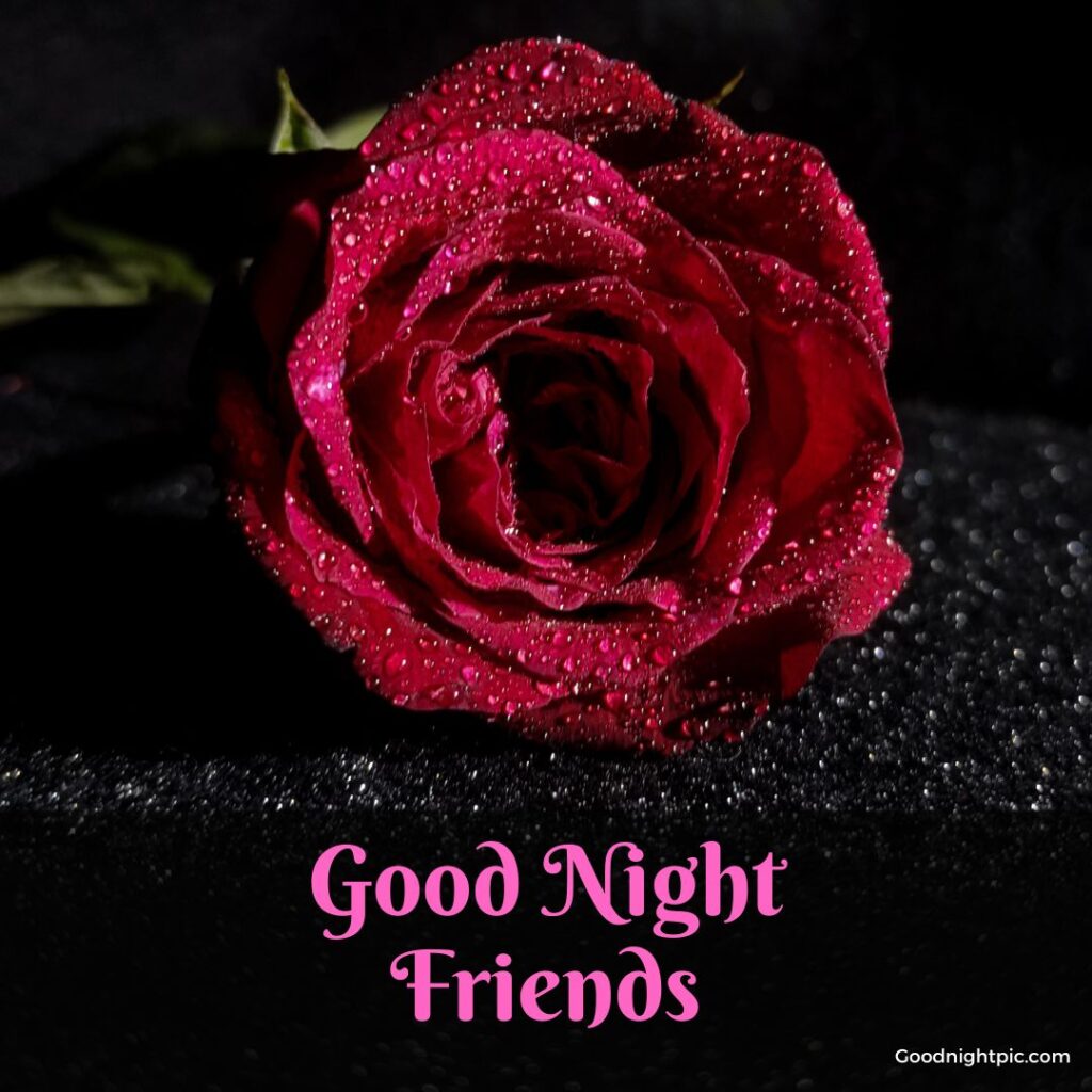 good night friends photo
