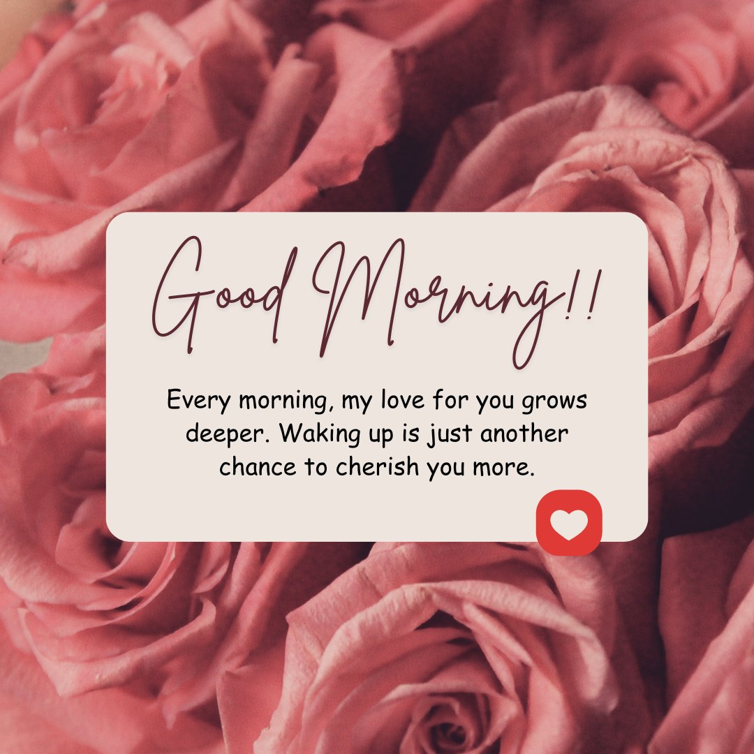 Close-up of vibrant pink roses with a card displaying a 'Good Morning!!' greeting and a romantic message, perfect for a Romantic Good Morning Message for Him.