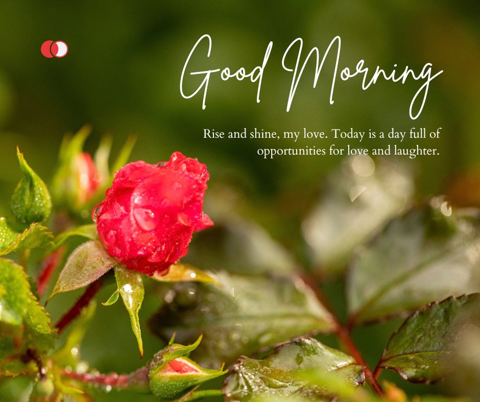 Romantic Good Morning Messages for Girlfriend: A vibrant red rose with morning dew on its petals, set against a backdrop of green leaves with the message 'Good Morning, Rise and shine, my love. Today is a day full of opportunities for love and laughter.'