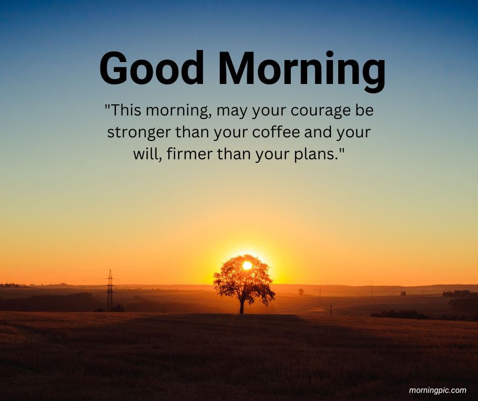 Sunrise over tree good morning images with positive words